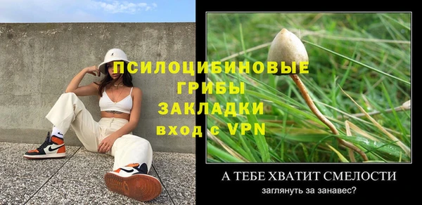 хмурый Богородицк