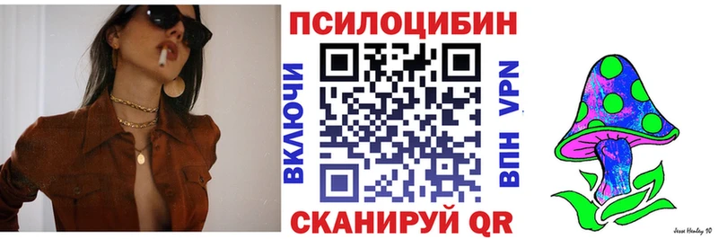 Купить закладки  Кохма  Галлюциногенные грибы Cubensis 